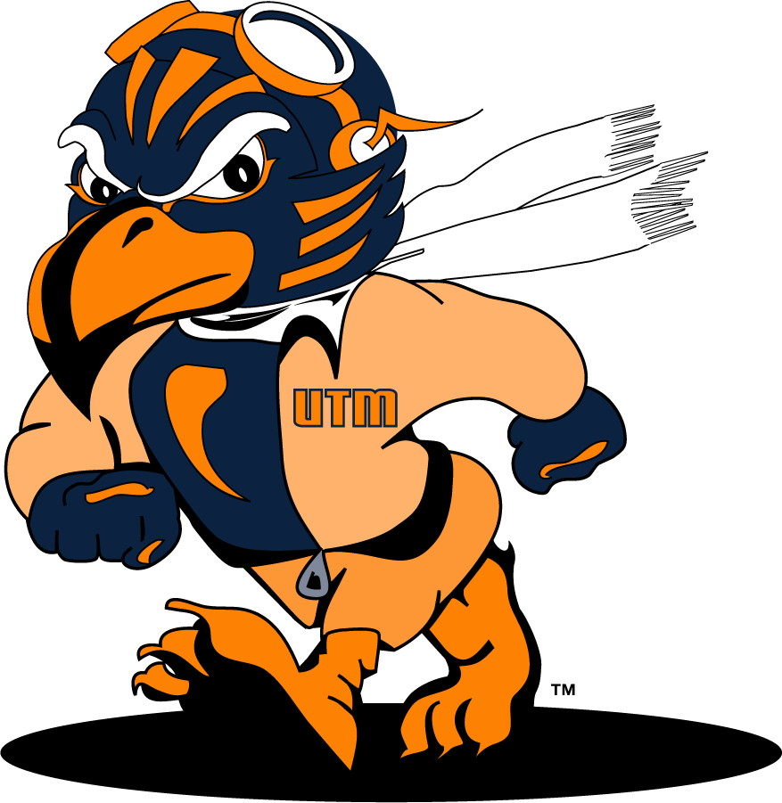 Tennessee-Martin Skyhawks 2007-2020 Mascot Logo v2 DIY iron on transfer (heat transfer)
